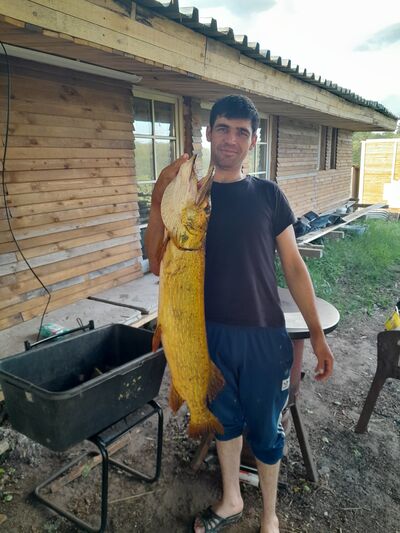  -,   , 29 ,   ,   