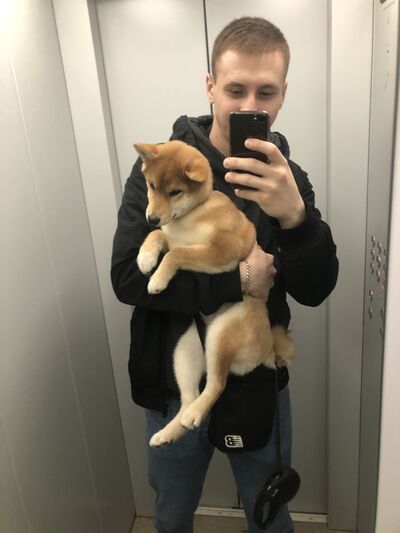  --,   , 25 ,   ,   , 