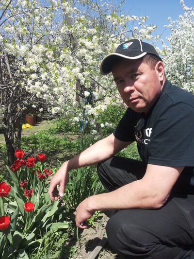  ,   , 51 ,   