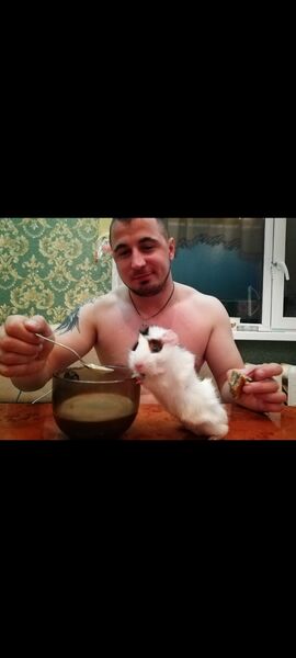  ,   , 34 ,   ,   