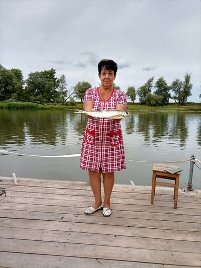  ,   , 62 ,   ,   , c , 