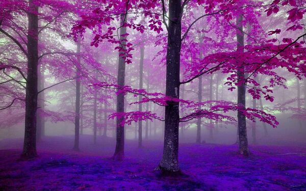  ,   Gennadij, 46 ,   ,   , c 