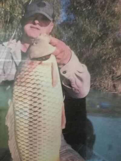  ,   , 55 ,   ,   