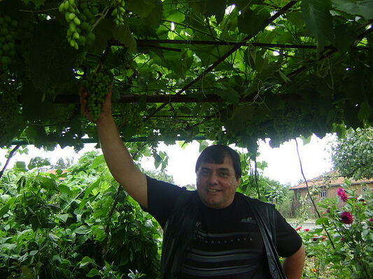  ,   Stoyan, 57 ,   ,   , c 