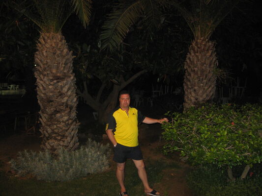  ,   , 55 ,   ,   , c , 