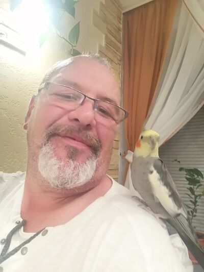  ,   , 54 ,   