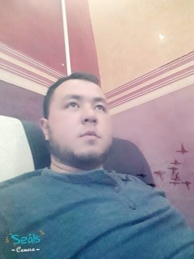  ,   , 33 ,   