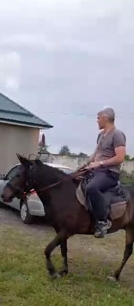  ,   , 43 ,   c 