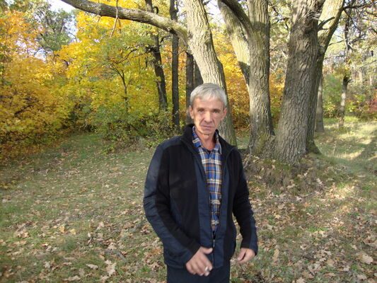  ,   , 65 ,   ,   