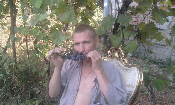  -,   , 48 ,   
