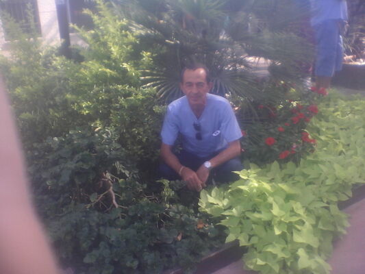  ,   Arkady, 68 ,   ,   , c 