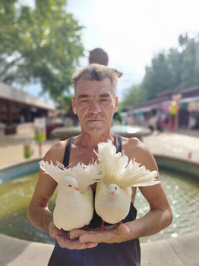  ,   , 52 ,   ,   , c 