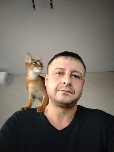  ,   , 41 ,   ,   , c 