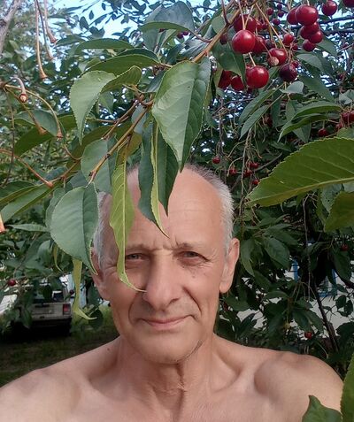  -,   , 66 ,     , c , 