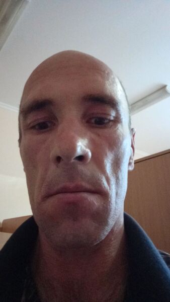  ,   , 43 ,   ,   
