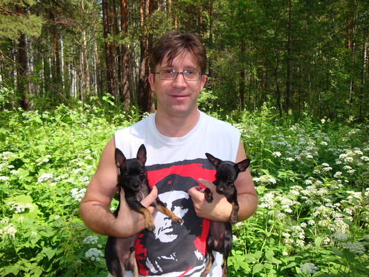  ,   , 51 ,   