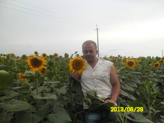  ,   Alex, 41 ,     , c 