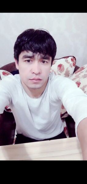  ,   AZA, 37 ,   ,   , c 