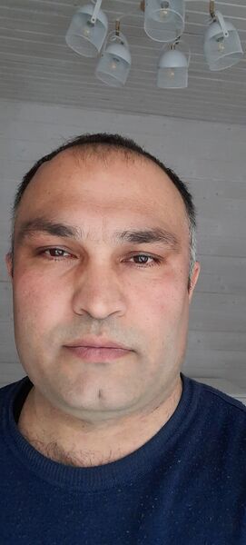  -,   , 41 ,   ,   