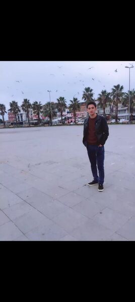  ,   , 33 ,   ,   