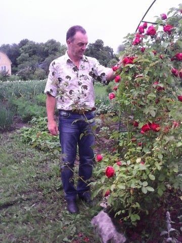  ,   , 62 ,   