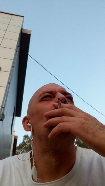 ,   Mad, 46 ,  