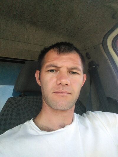  ,   EVGEN, 40 ,   ,   , c 