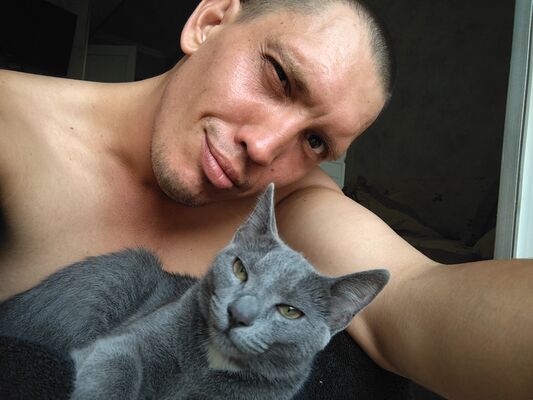  ,   Pal, 34 ,   ,   