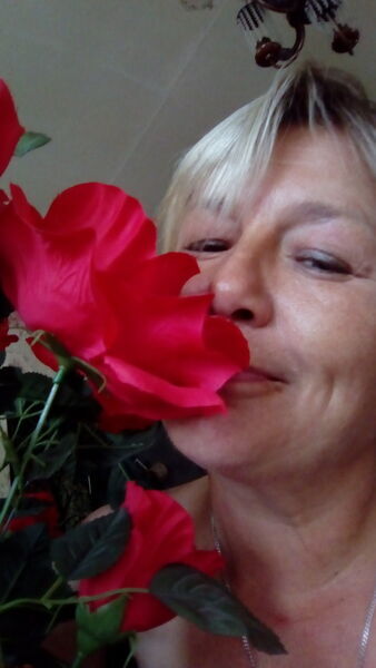  ,   , 56 ,     , c 