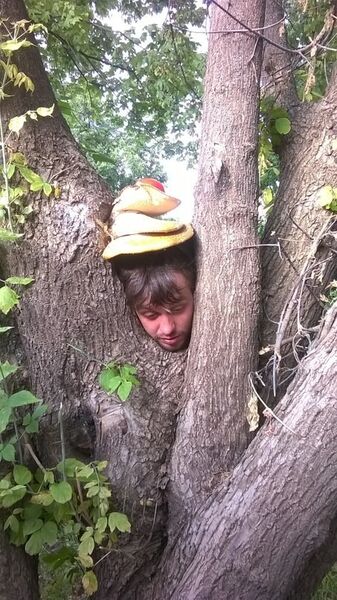  ,   Kvasin, 42 ,   