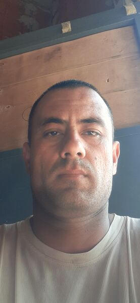  -,   , 37 ,  
