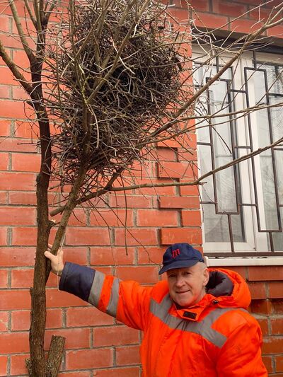  ,   , 63 ,   ,   , c 