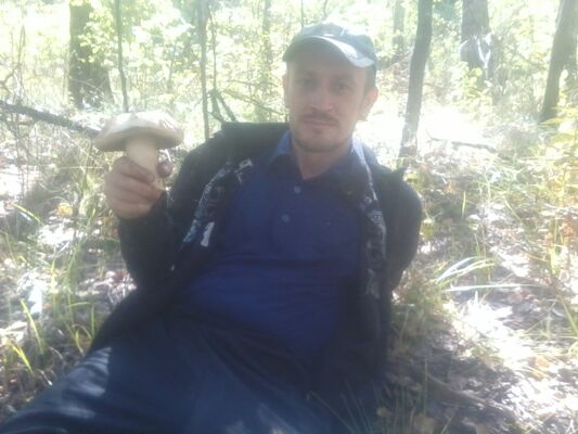  ,   , 44 ,   ,   , c , 
