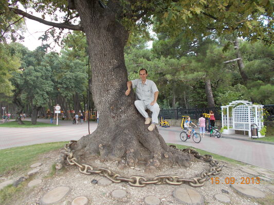 ,   , 44 ,     , c 