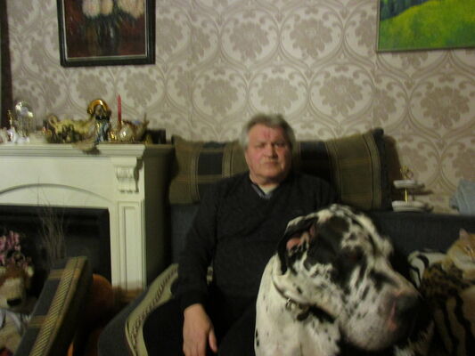  ,   SALAMANDRA, 72 ,   