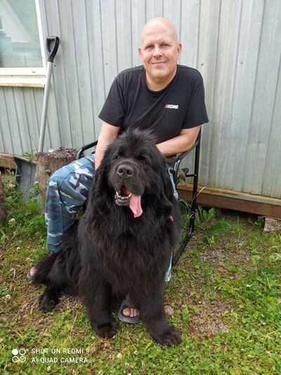  -,   , 54 ,   ,   , c , 