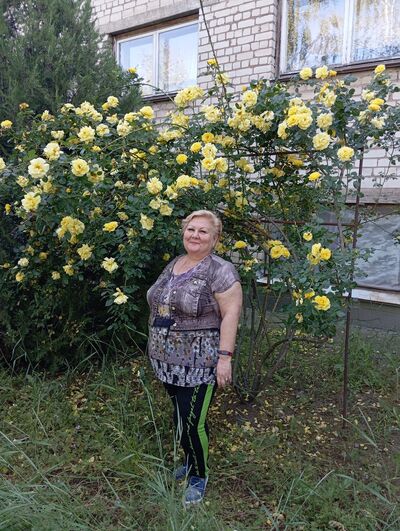  ,   , 58 ,     