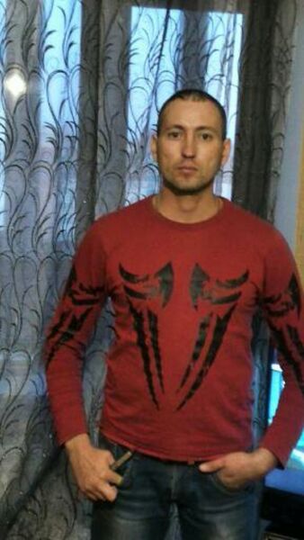  ,   Damir, 41 ,   ,   , c 