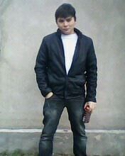  ,   Pitbul, 32 ,   ,   , c , 