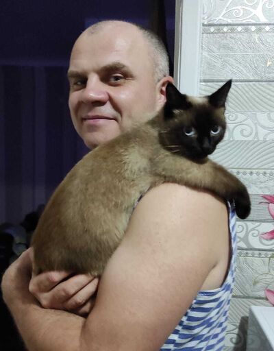  ,   , 48 ,   ,   