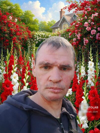   ,   , 41 ,     , c , 