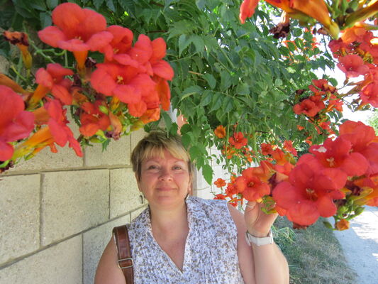  ,   , 58 ,   ,   , c 