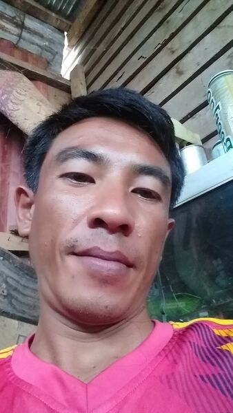  ,   Lony lony, 40 ,   ,   