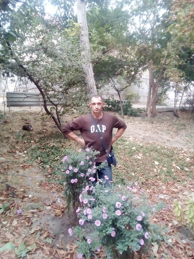  ,   , 46 ,   ,   , c , 