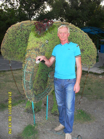   ,   , 63 ,   