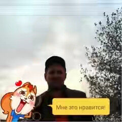  ,   , 53 ,   , 