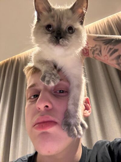  ,   , 19 ,   ,   