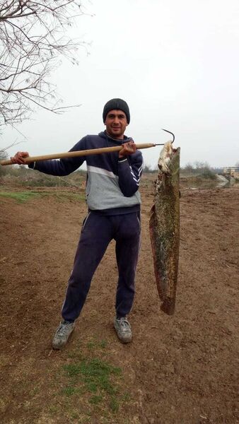  ,   Samir, 40 ,     , c 