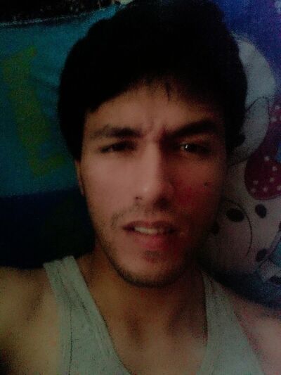  ,   Panda, 31 ,   ,   , c 