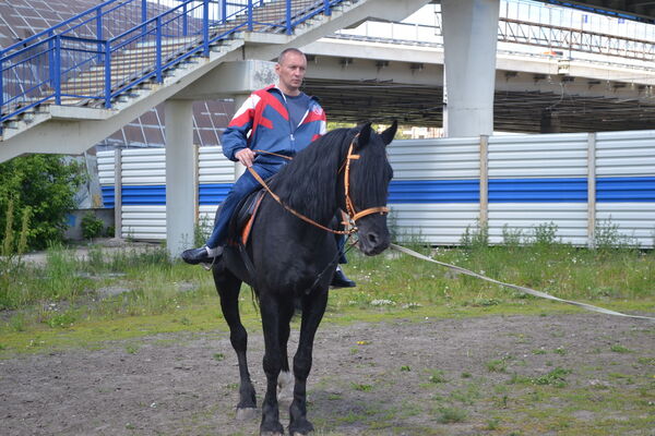  ,   , 63 ,   ,   , c 